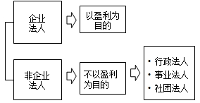 法人的分類